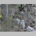 10Boca De Yuma_0282.JPG